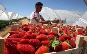 مرسوم التدفق فى