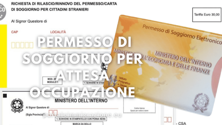 Specialist ID – Porta Permesso Di Parcheggio Da Specchietto (2 Pezzi) – Orizzontale, In Vinile Rigido, Trasparente